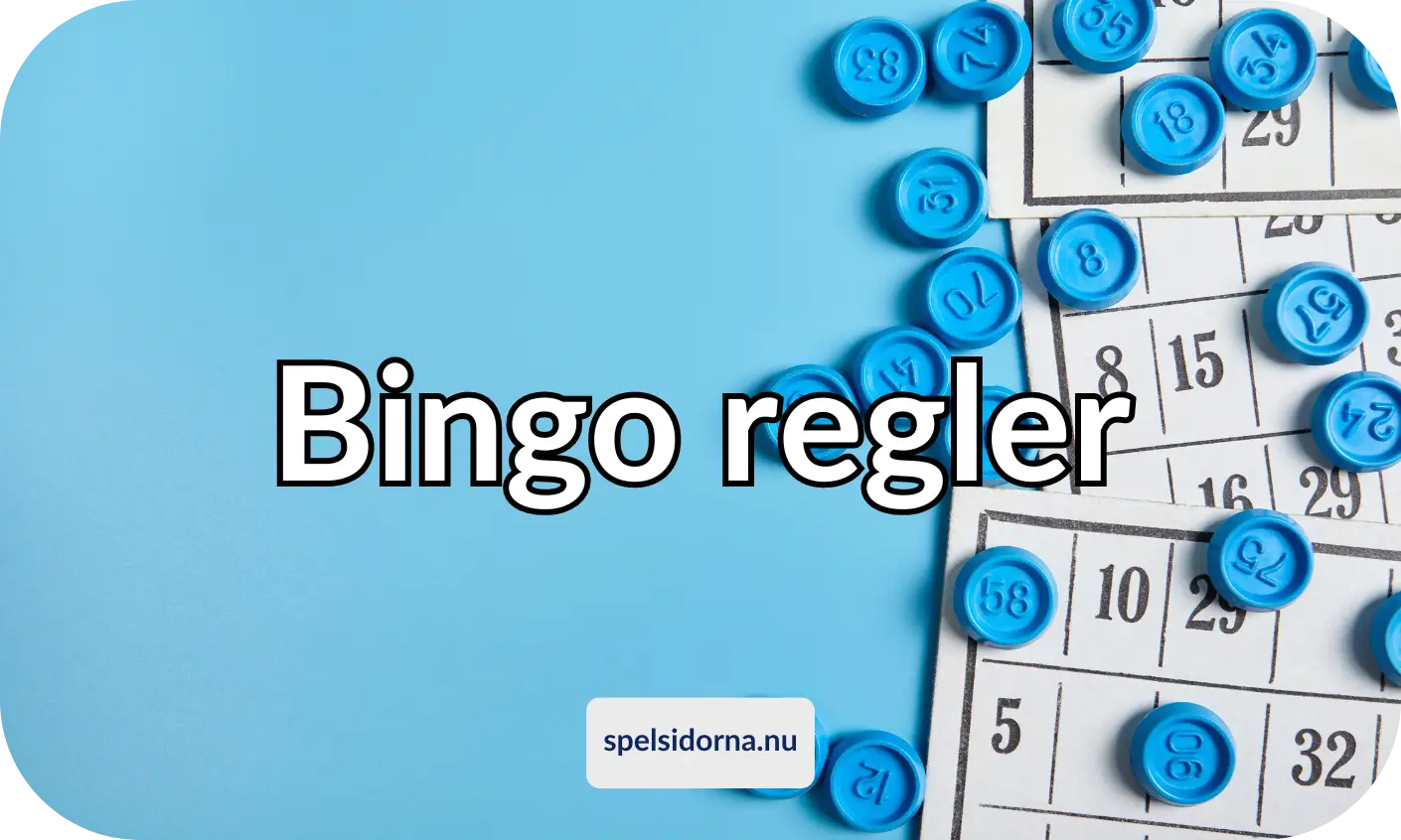 Bingo regler